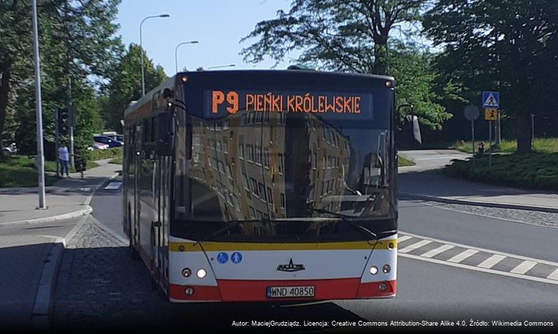 Powiatowy Transport Publiczny w powiecie grudziądzkim