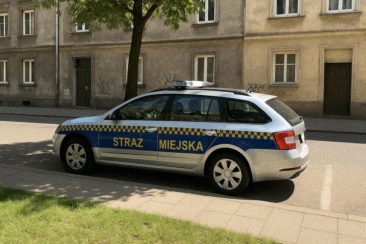 10. edycja biegu „Przegoń Przemoc” w Grudziądzu