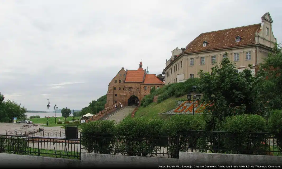 Grudziądzkie drzewo walczy o tytuł Drzewa Roku 2026